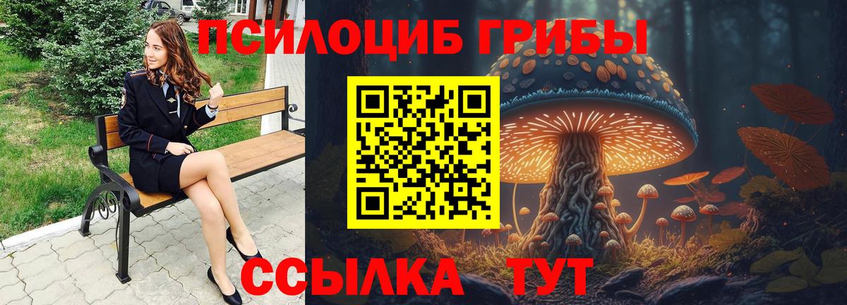 Галлюциногенные грибы GOLDEN TEACHER Димитровград